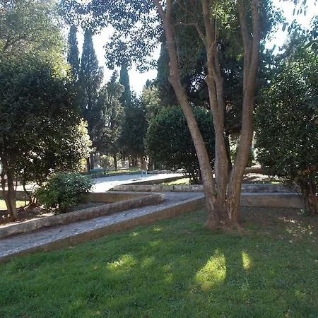 Darka Split