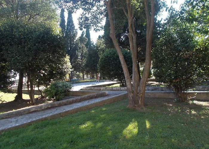 Darka Split